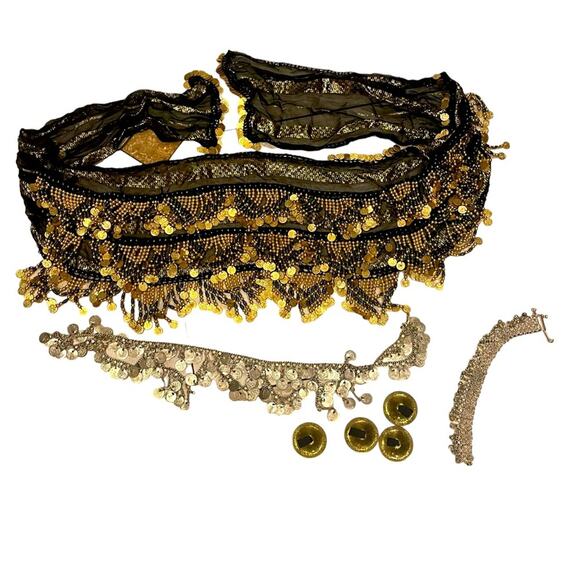 Authentic Belly Dancer Costume - Picture 1 of 11